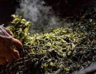 炒茶葉的四大步驟？