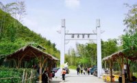5月12日：徒步貢茶古道，天然氧吧，綠色之旅